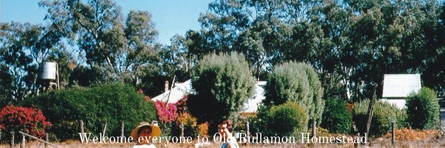 Bullamon-7.png